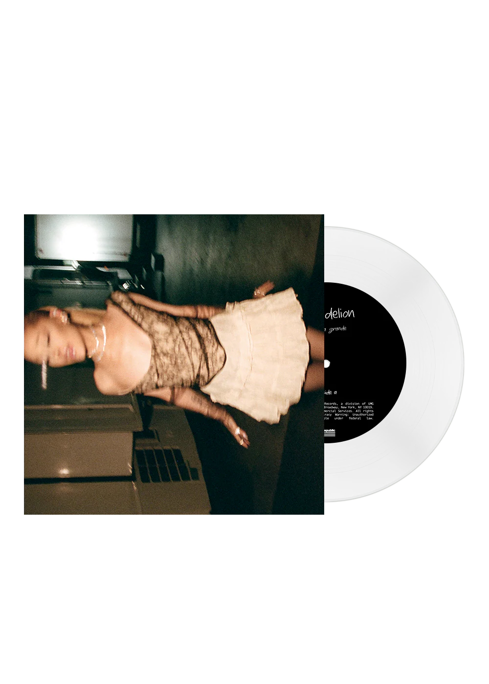 dandelion 7"
